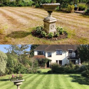How can garden retailers advise their customers about the best way to revive dried-up lawns?