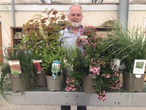 Wyevale Nurseries enters nine new plants for National Plant Show awards